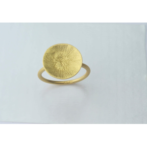 37RG, Ring {B} Roy